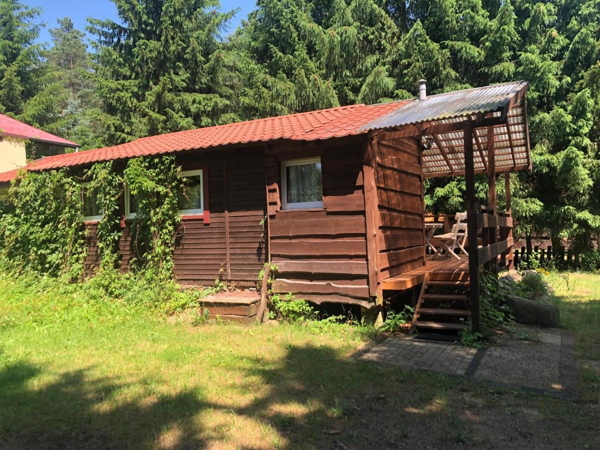 Gosciniec Pod Debem Villa Wilimy Kültér fotó