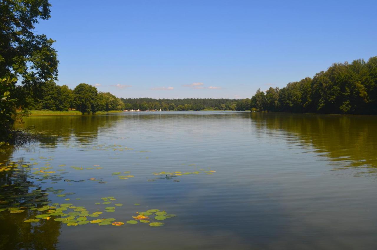 Gosciniec Pod Debem Villa Wilimy Kültér fotó