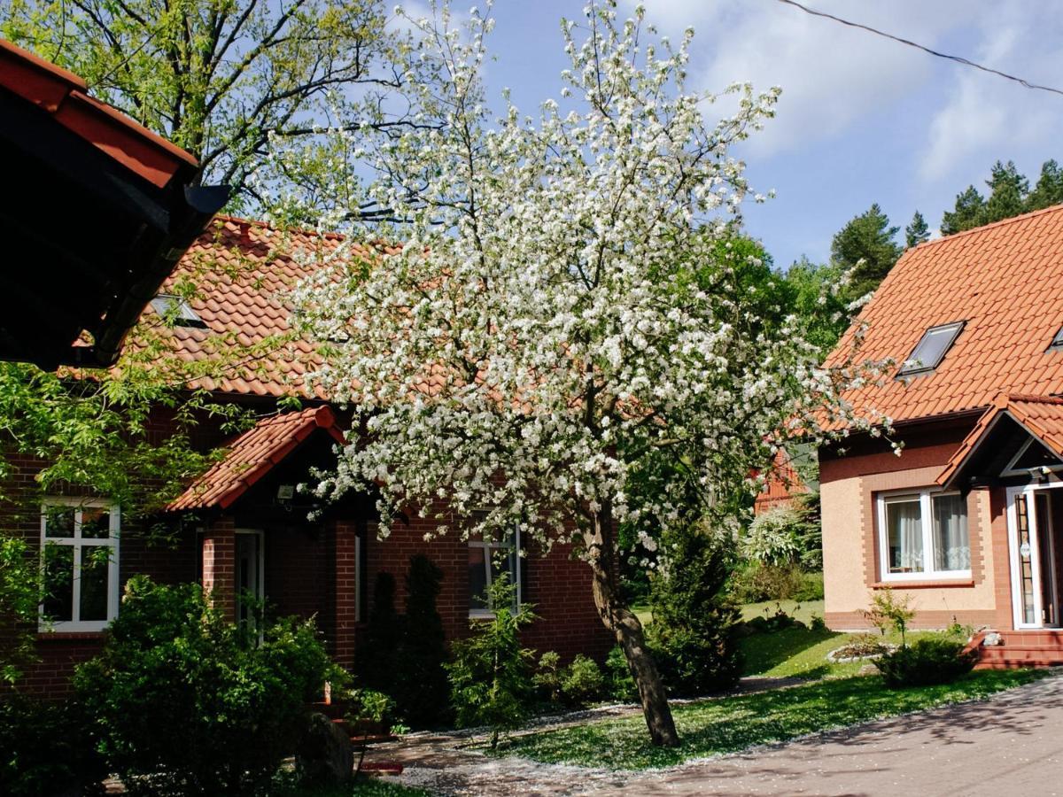 Gosciniec Pod Debem Villa Wilimy Kültér fotó